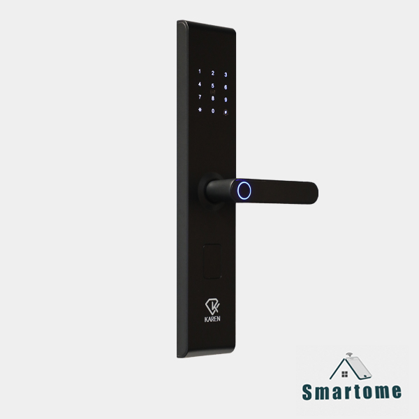 h211 دستگیره هوشمند h211 کارن